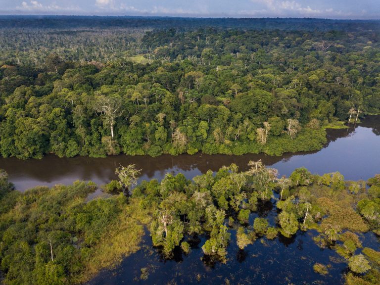 Congo Basin: The Rainforest World Forgot