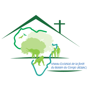 1er sommet des chefs detat et de gouvernement de la commission climat du bassin du congo et du fonds bleu pour le bassin du congo