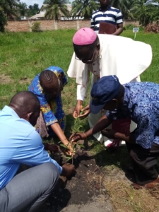 Implantation des arbres près de la Cathédrale Notre-Dame du Très Saint Rosaire par Mgr Marcel UTEMBI TAPA